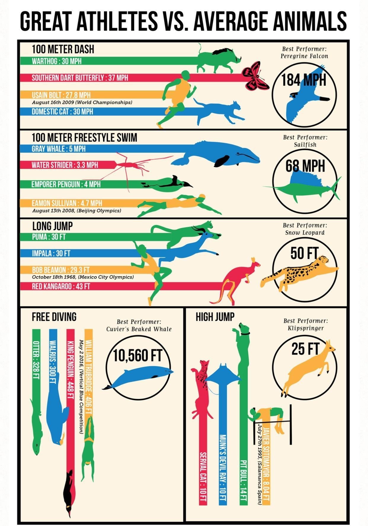 GREAT ATHLETES VS AVERAGE ANIMALS 100 METER DASH Best Performer WARTHOG 30 MPH Peregrine Falcon SOUTHERN DART BUTTERFLY 37 MPH August 16th 2009 World Championships DOMESTIC CAT 30 MPH Il METER FHEESTYLE SWM Best Performer GRAY WHALE 5 MPH Sailfish WATER STRIDER 33 MPH I R EAMON SULLIVAN 47 MPH Best Perf s M UP Snow Leapard IMPALA 30 FT BOB BEAMON 203 F1 RED KANGAROO 43 FT HIGH JUMP Best Performer 
