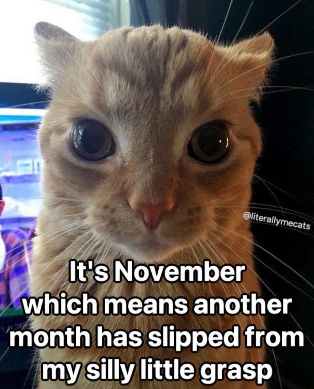TV I gvember whichmeans another mnth T T oo o1 my SIIWANUECES