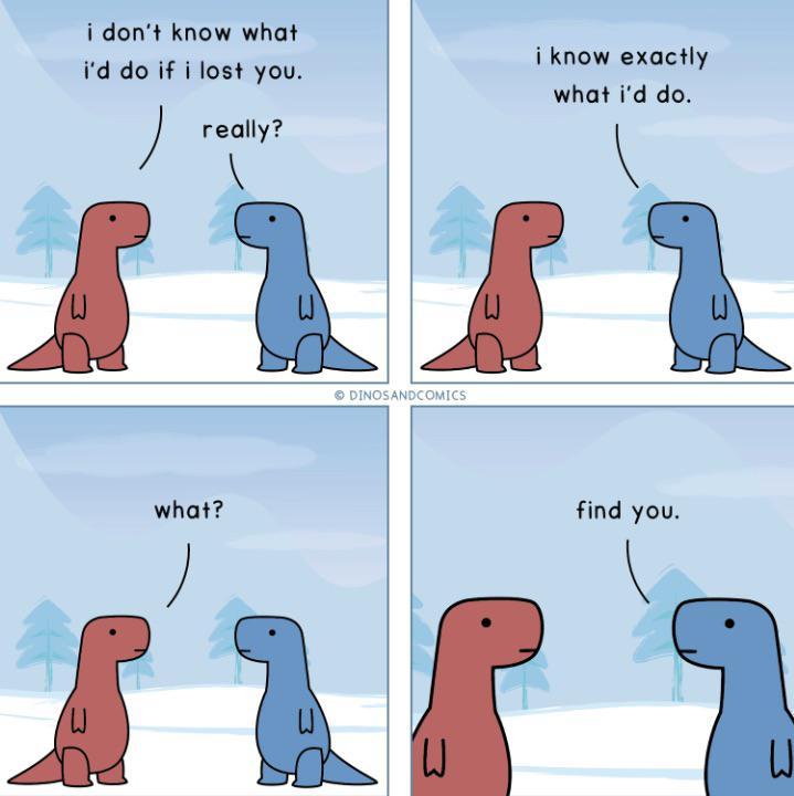 i dont know what id do if i lost you really i know exactly what id do find you