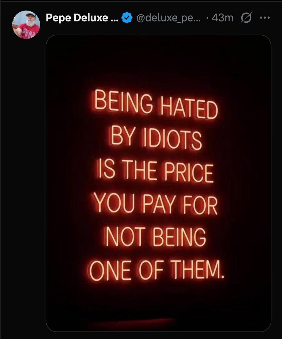 BEING HATED BY IDIOTS IS THE PRICE YOU PAY FOR NOT BEING ONE OF THEM.