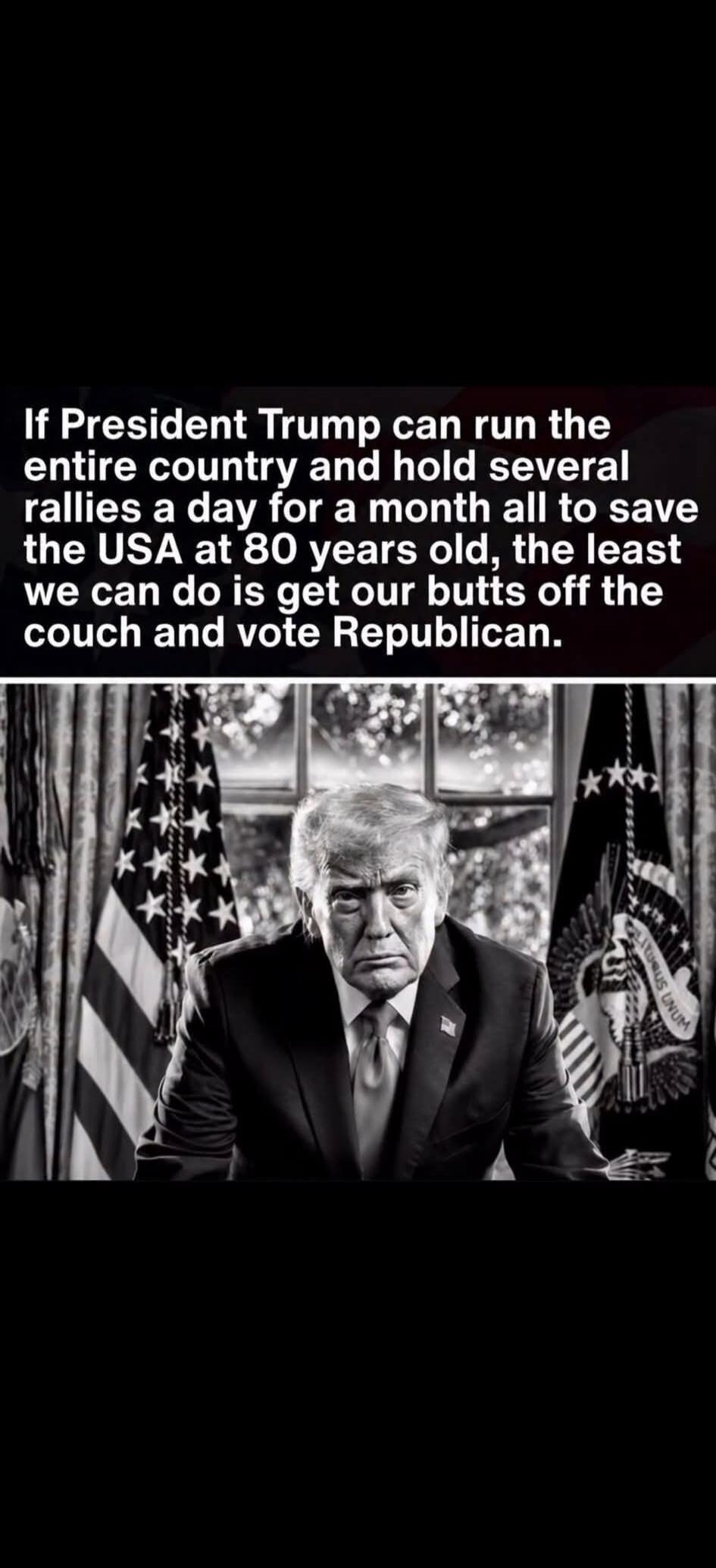 If President Trump can run the entire country and hold several rallies a day for a month all to save the USA at 80 years old, the least we can do is get our butts off the couch and vote Republican.