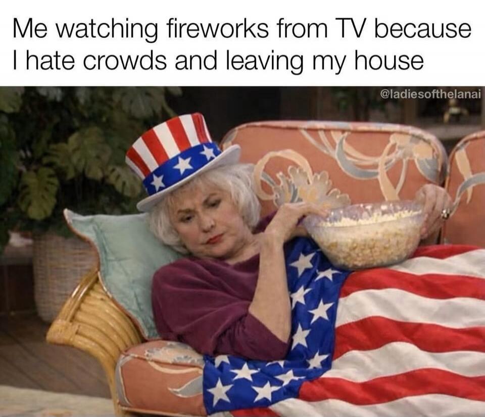 Me watching fireworks from TV because I hate crowds and leaving my house