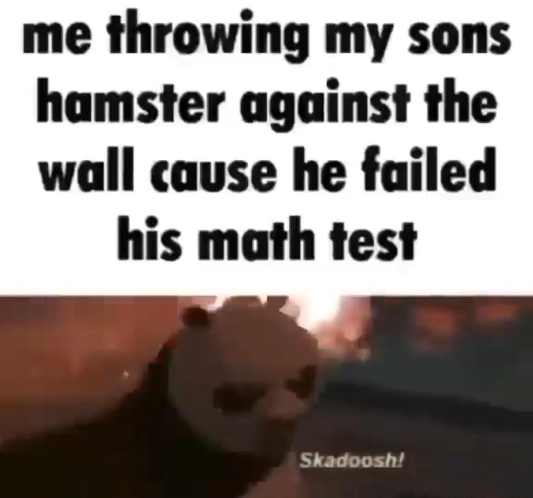 me throwing my sons hamster against the wall cause he failed his math test