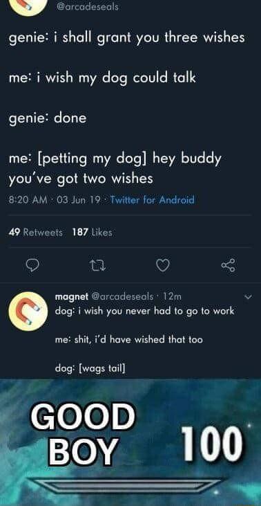 e CLICERIEL IR T TI SR IEERVE S me i wish my dog could talk genie done me petting my dog hey buddy youve got two wishes 820 AM 03 Jun 19 Twitter for Android 49 Retweets 187 Likes O n V magnet arcadeseols 12m v dog i wish you never had to go to work me shit id have wished that too dog wags tail WeloYod 107 100