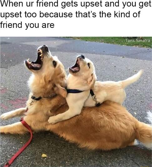 When ur friend gets upset and you get upset too because thats the kind of