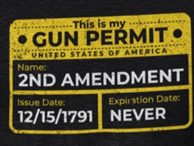 2ND AMENDMENT 12151791 NEVER