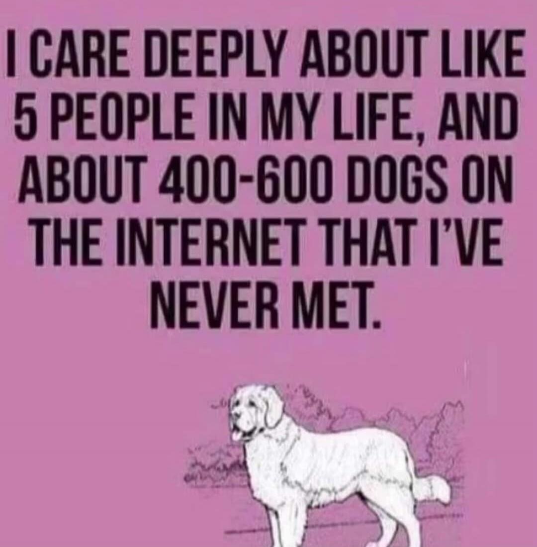 I CARE DEEPLY ABOUT LIKE 5 PEOPLE IN MY LIFE, AND ABOUT 400-600 DOGS ON THE INTERNET THAT I'VE NEVER MET.