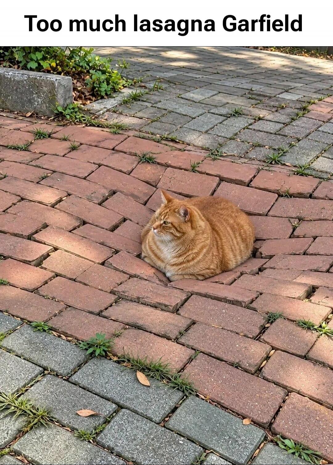 Too much lasagna Garfield
