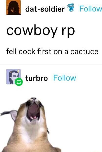 dat soldier Follow cowboy rp fell cock first on a cactuce turbro Follow