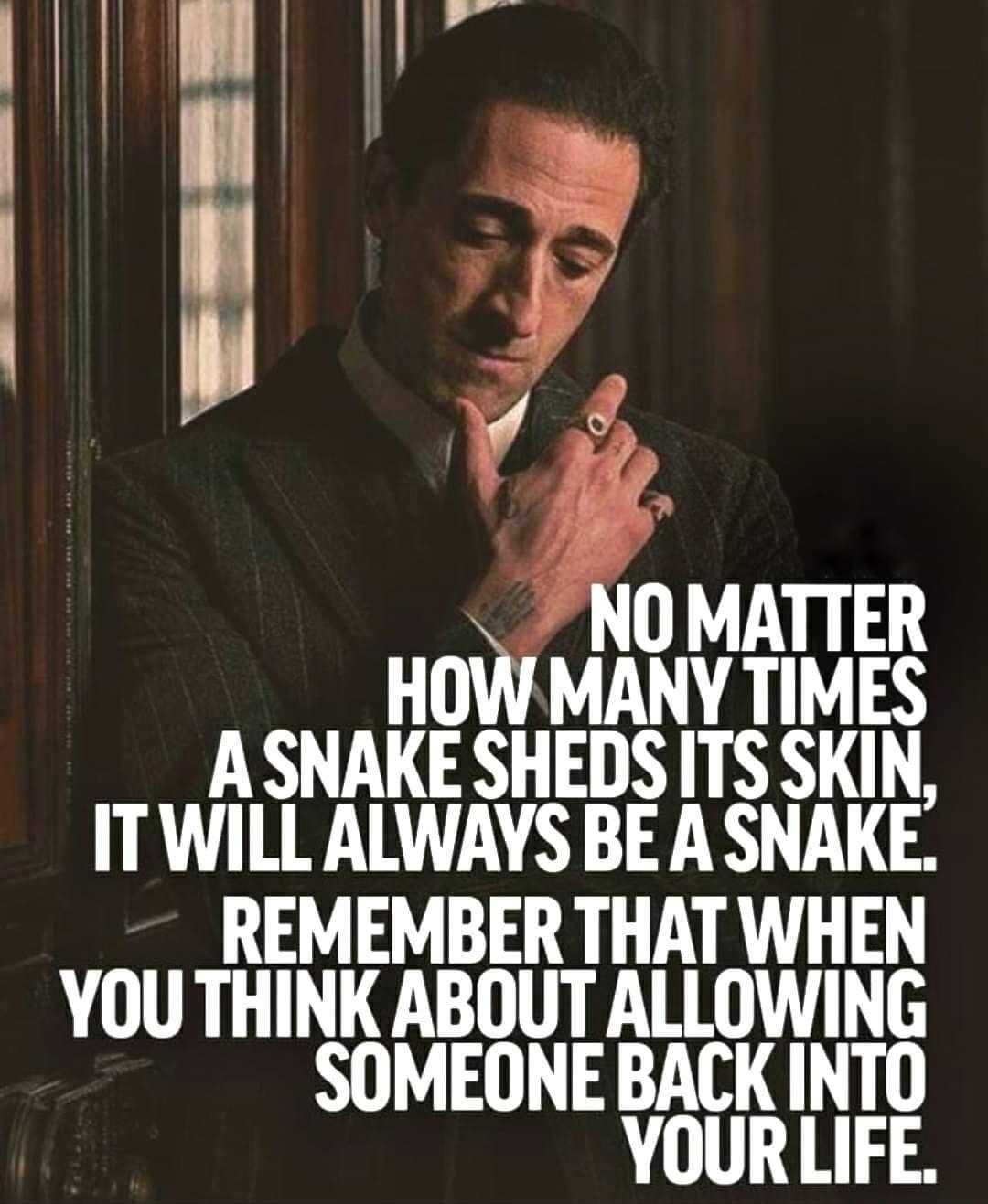 OMATTER HoW MANY TIMES ASNAKE SHEDS ITS SKIN ITWILL ALWAYS BE A SNAKE REMEMBER THAT WHEN YOU THINK ABOUT ALLOWING SOMEONE BACK INTO YOURLIFE