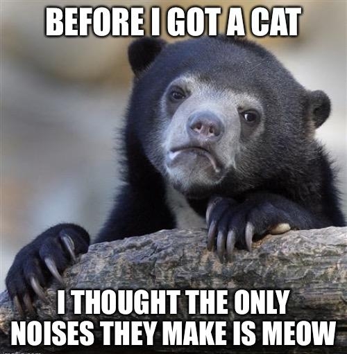 IIISES THEY MAKE IS MEOW