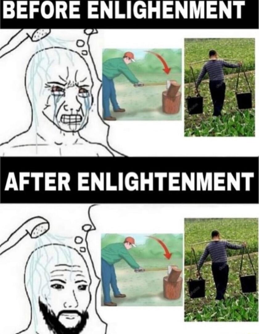 BEFORE ENLIGHENMENT