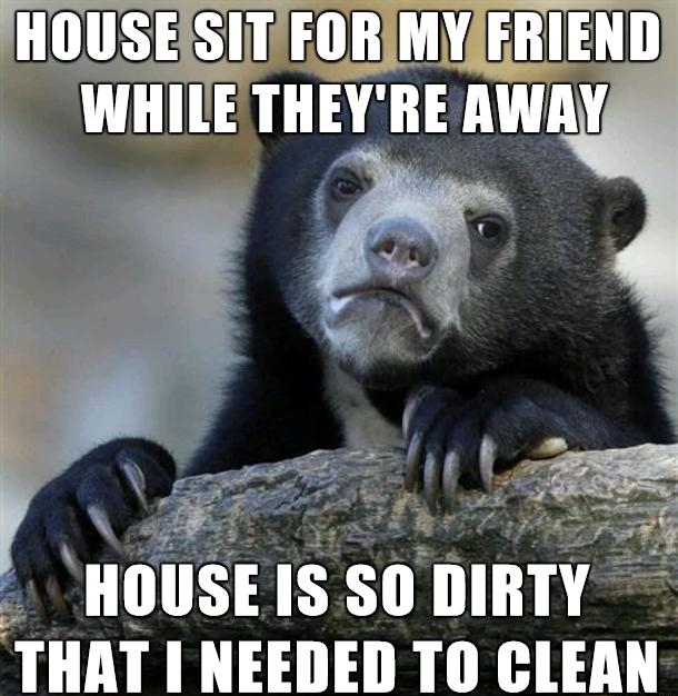 HOUSEIS Sn DIRTY THAT I NEEDED TO CLEAN