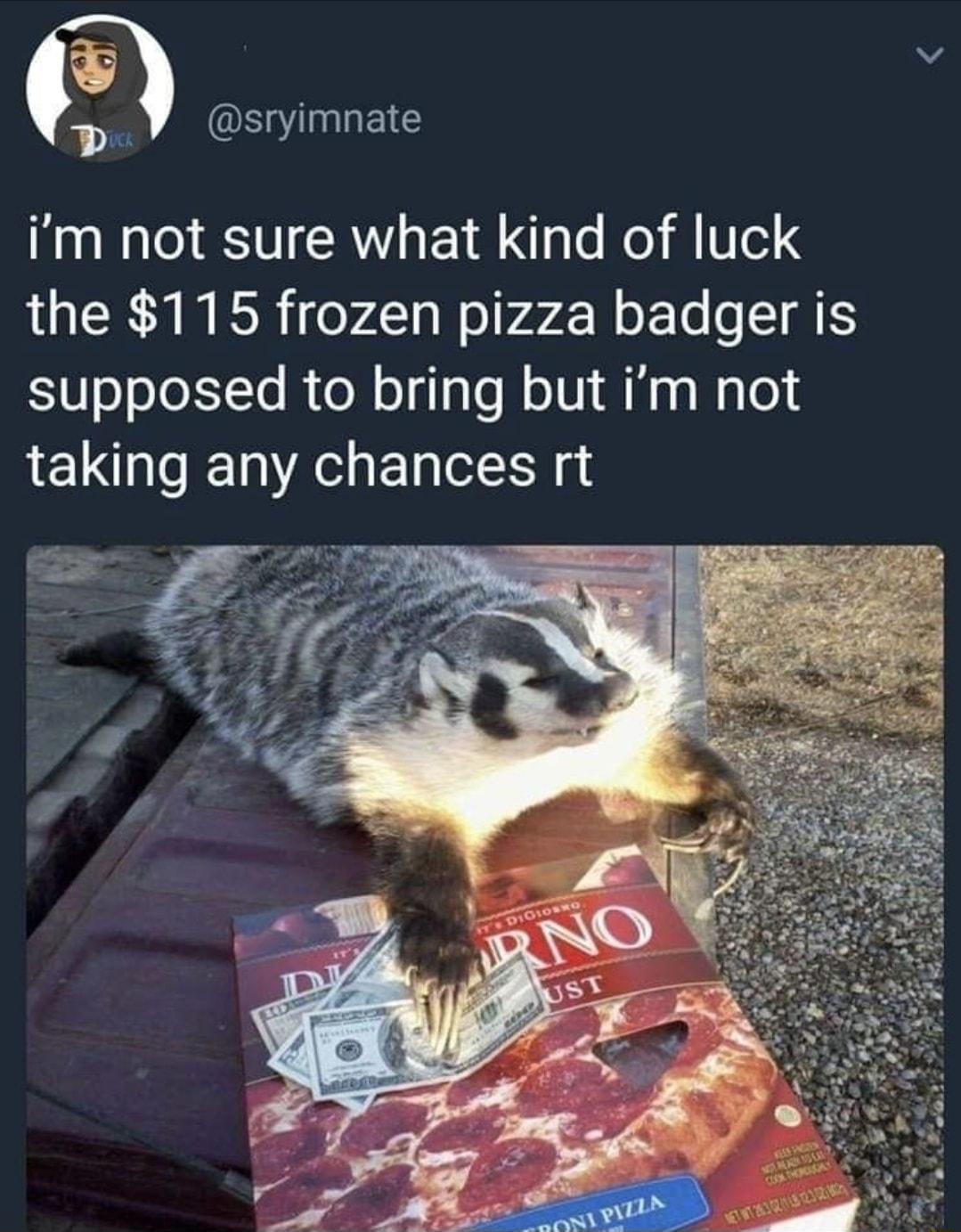 P v P S lEIE im not sure what kind of luck the 115 frozen pizza badger is supposed to bring but im not taking any chances rt