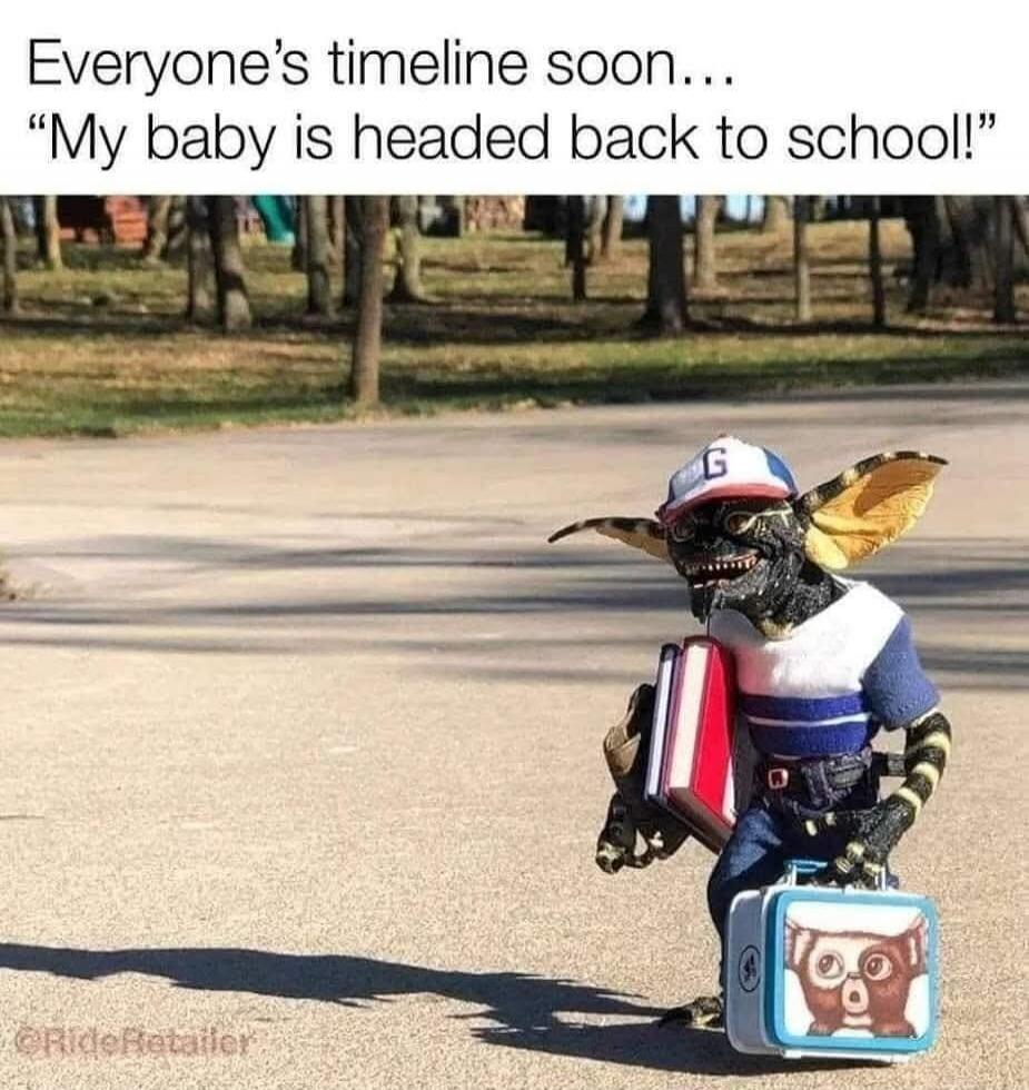 Everyone's timeline soon... 