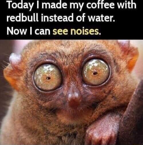 Today I made my coffee with redbull instead of water. Now I can see noises.