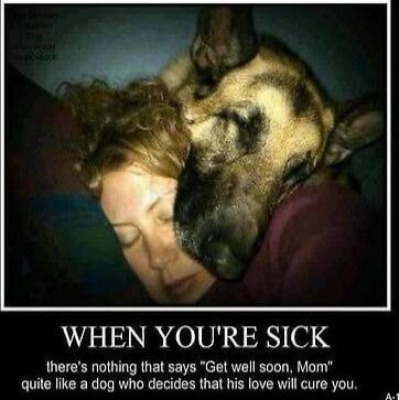 WHEN YOU'RE SICK
there's nothing that says 'Get well soon, Mom' quite like a dog who decides that his love will cure you.