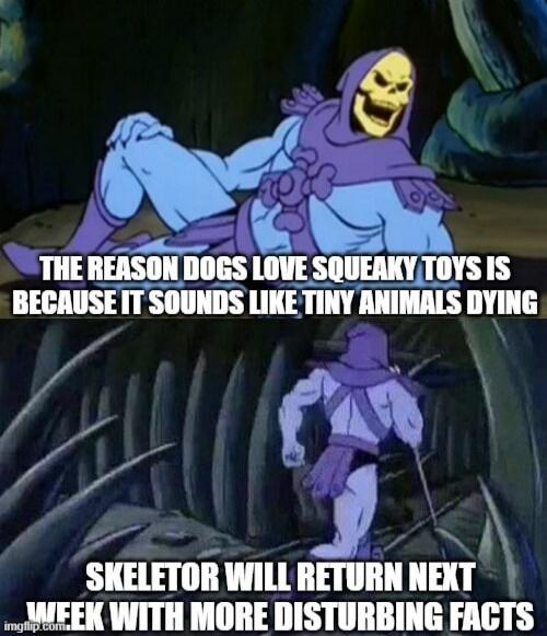 THE REASON DOGS LOVE SQUEAKY TOYS IS BECAUSE IT SOUNDS LIKE TINY ANIMALS DYING. SKELETOR WILL RETURN NEXT WEEK WITH MORE DISTURBING FACTS.