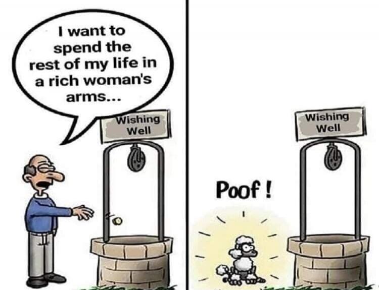 I want to spend the rest of my life in a rich woman's arms... Wishing Well Poof!
