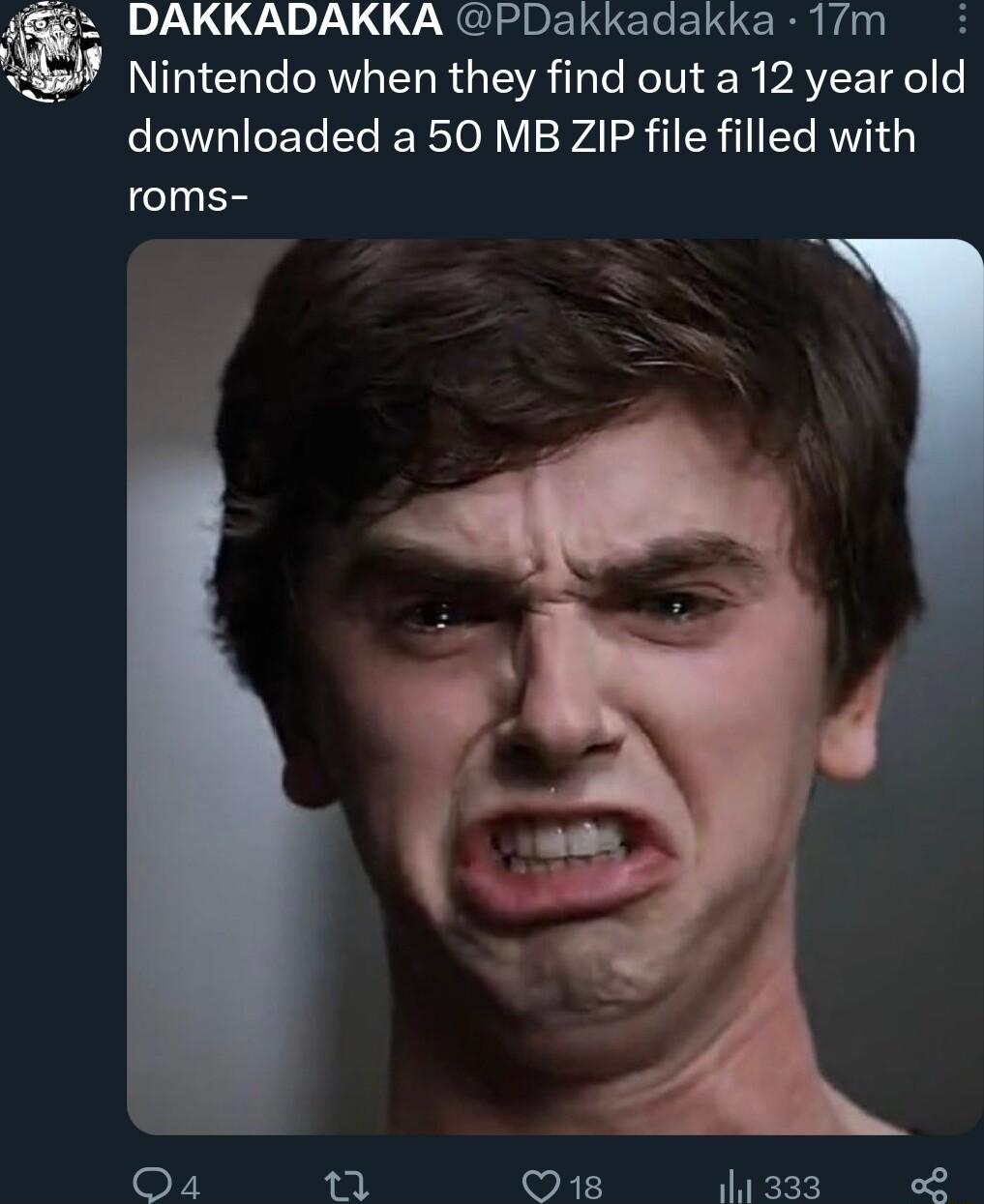 DAKKADAKKA PDakkadakka 17m Nintendo when they find out a 12 year old downloaded a 50 MB ZIP file filled with roms