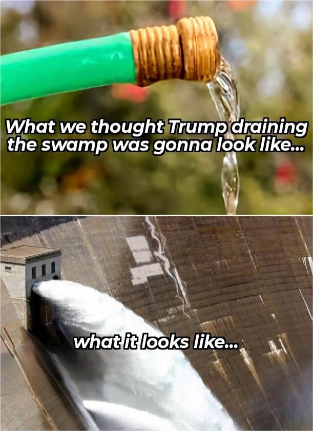 What we thought Trump CLCT L the swampwas gonnga 100k like