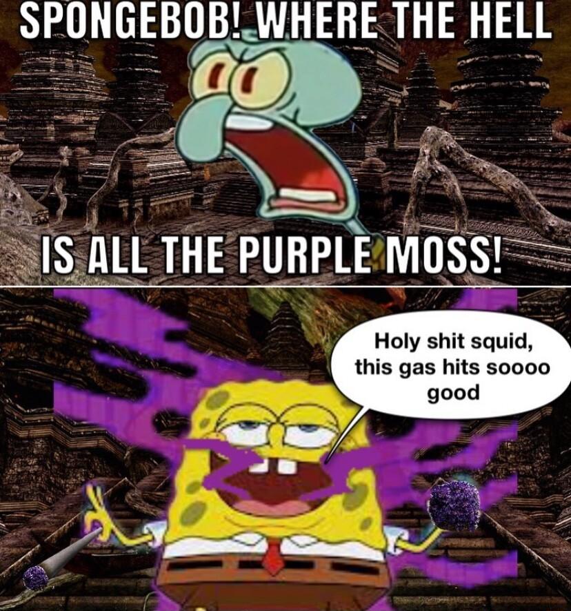 SPUNGEBUB WHERE THE HELL 00 ISALL THE PUHPLE MUSS Holy shit squid this gas hits soooo