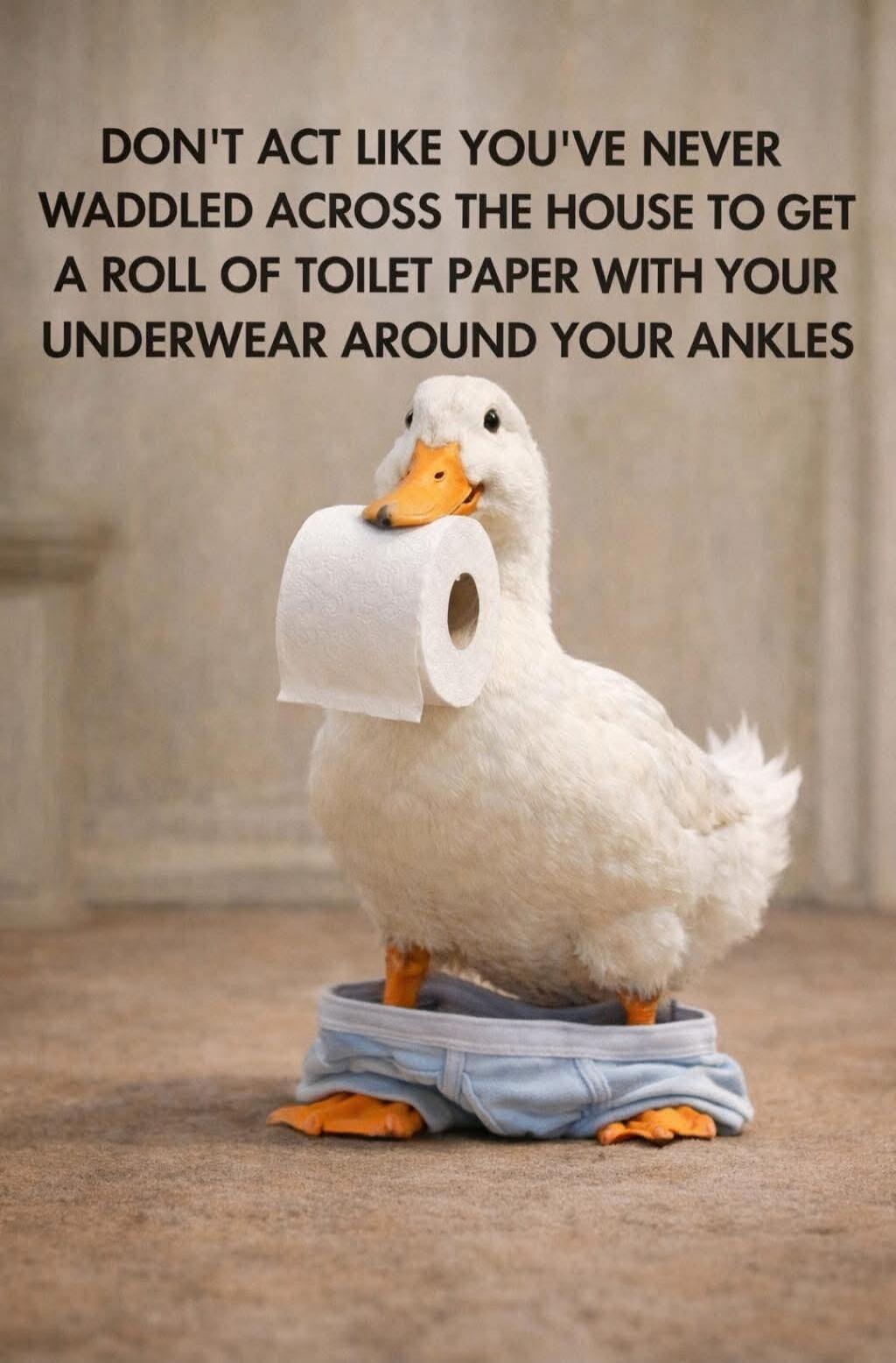 DON'T ACT LIKE YOU'VE NEVER WADDLED ACROSS THE HOUSE TO GET A ROLL OF TOILET PAPER WITH YOUR UNDERWEAR AROUND YOUR ANKLES