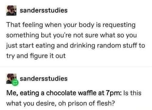 sandersstudies That feeling when your body is requesting something but youre not sure what so you just start eating and drinking random stuff to try and figure it out sandersstudies Me eating a chocolate waffle at 7pm Is this what you desire oh prison of flesh