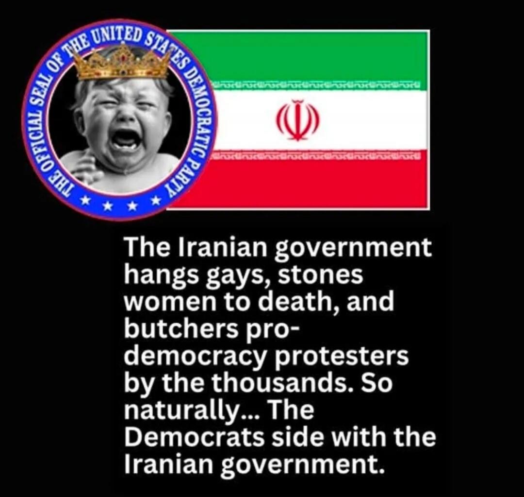 The Official Seal of The United States Democratic Party. The Iranian government hangs gays, stones women to death, and butchers pro-democracy protesters by the thousands. So naturally... The Democrats side with the Iranian government.
