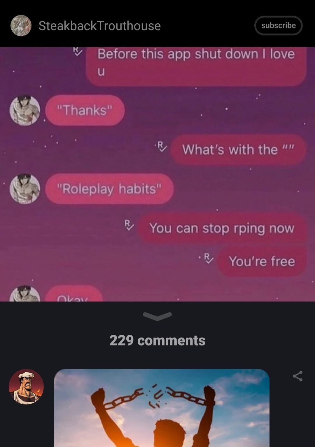 steakbackTrouthouse gr Y Before this app shut down love u m Thanks Whats with the X Roleplay habits You can stop rping now Youre free 229 comments