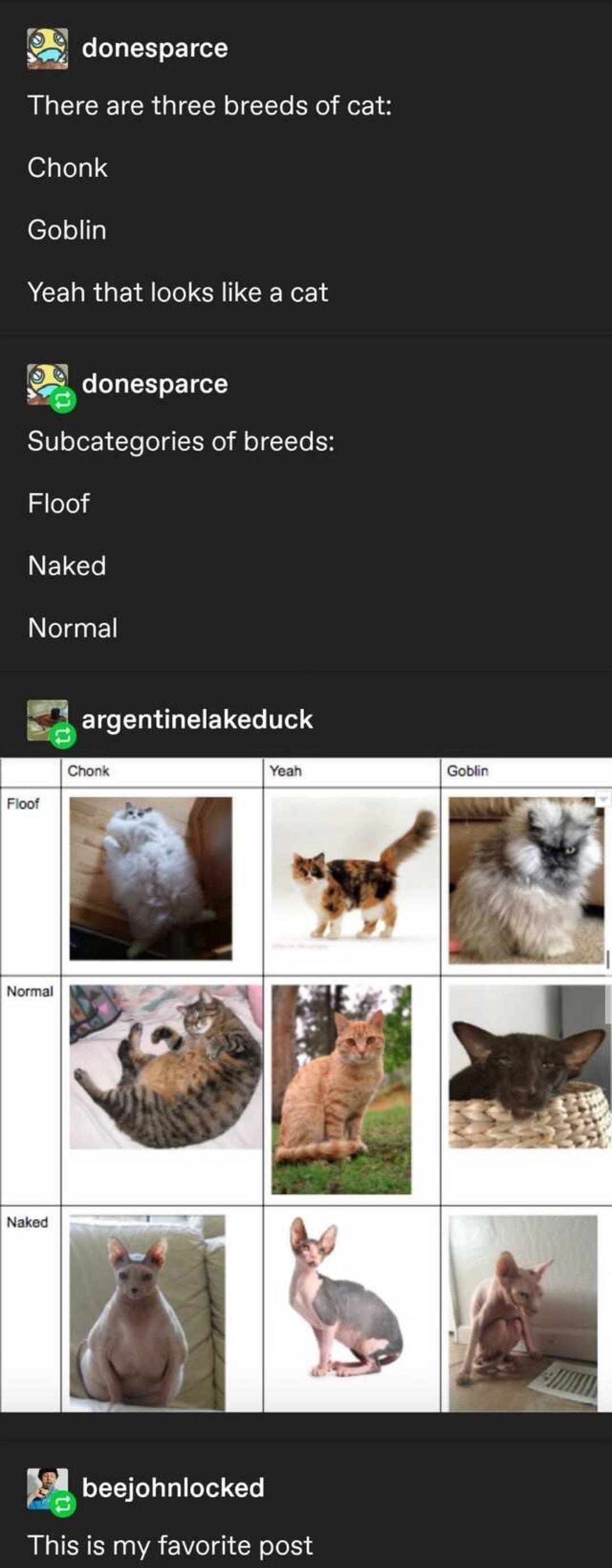72 R ET L CICETER QI EE R o1 4 Chonk elelallly Yeah that looks like a cat C donesparce Subcategories of breeds Floof ELCT elgyEl i ELC UL EETEL T beejohnlocked This is my favorite post Source donesparce 224577 notes SN0 20