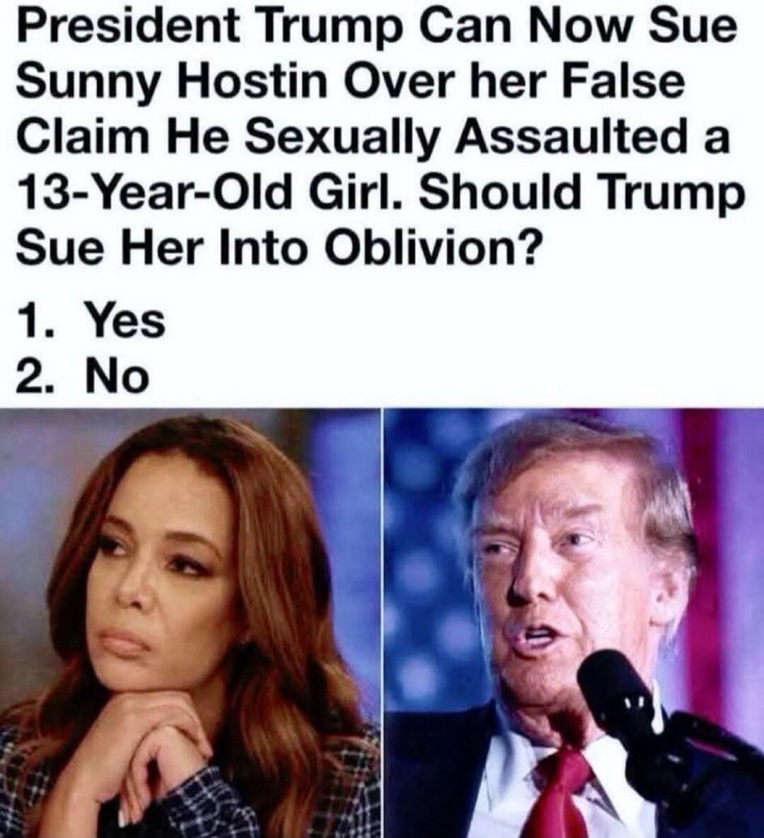 President Trump Can Now Sue Sunny Hostin Over her False Claim He Sexually Assaulted a 13-Year-Old Girl. Should Trump Sue Her Into Oblivion? 1. Yes 2. No