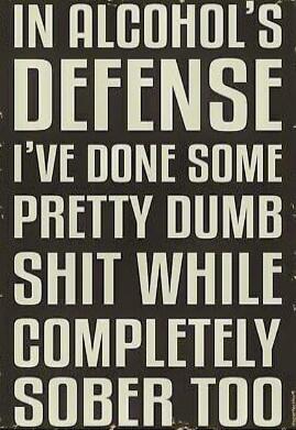 IN ALCOHOL'S DEFENSE I'VE DONE SOME PRETTY DUMB SHIT WHILE COMPLETELY SOBER TOO