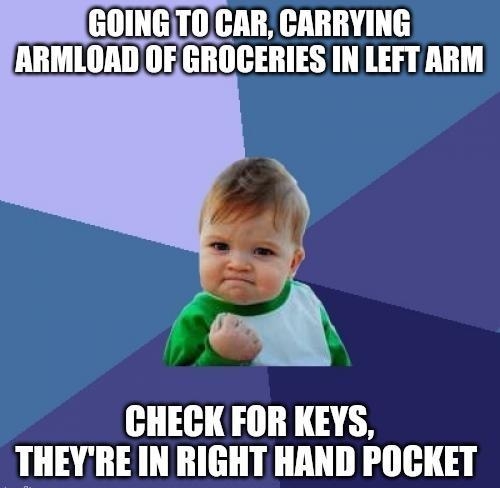 x0INGTOCAR CARRYING OADOFGROCERIES IN LEFT ARM CHECK FOR KEYS THEYRE IN RIGHT HAND POCKET