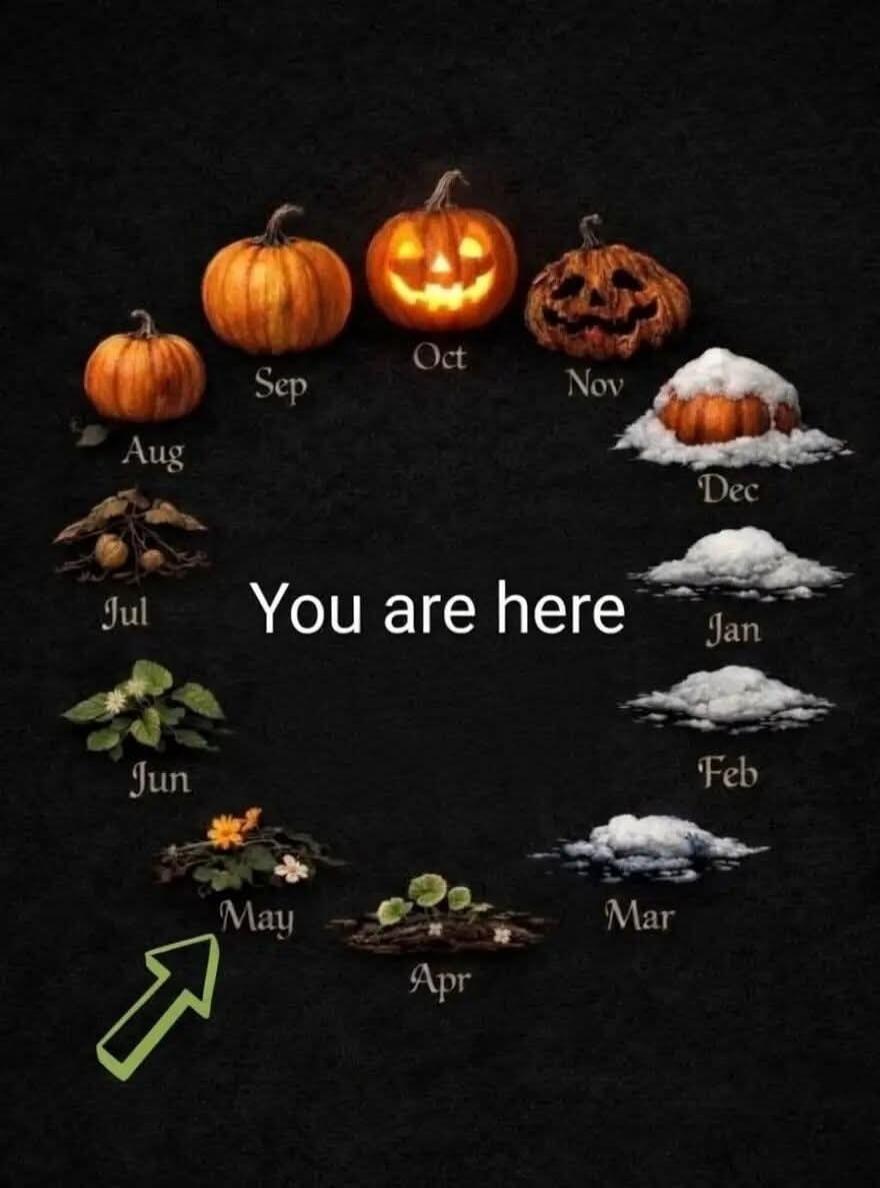 Aug Sep Oct Nov Dec Jan Feb Mar Apr May Jun Jul You are here