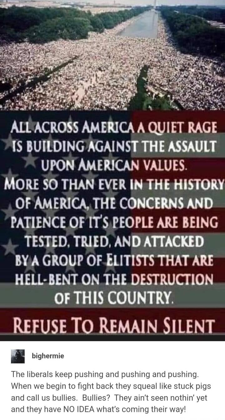 ALL ACROSS AMERICA A QUIET RAGE IS BUILDING AGAINST THE ASSAULT UPON AMERICAN VALUES. MORE SO THAN EVER IN THE HISTORY OF AMERICA, THE CONCERNS AND PATIENCE OF IT'S PEOPLE ARE BEING TESTED, TRIED, AND ATTACKED BY A GROUP OF ELITISTS THAT ARE HELL-BENT ON THE DESTRUCTION OF THIS COUNTRY. REFUSE TO REMAIN SILENT. The liberals keep pushing and pushing