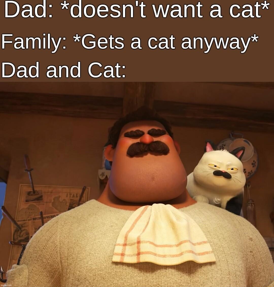Daad aoesnt want a cat Family Gets a cat anyway DETo Tao OF 15
