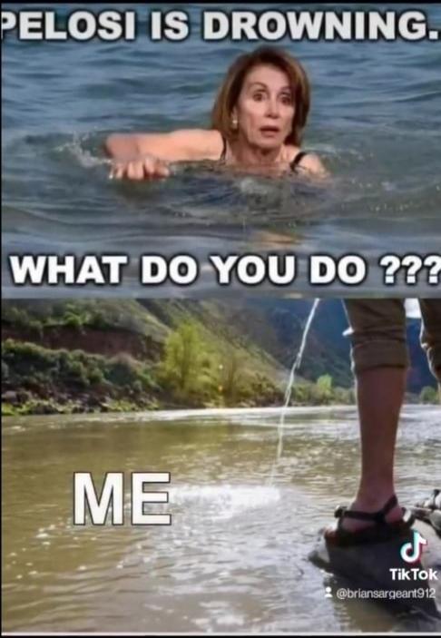 PELOSI IS DROWNING. WHAT DO YOU DO ??? ME