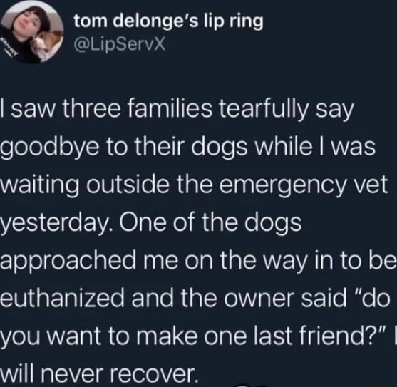 tom delonges lip ring N LipServX saw three families tearfully say elelole oRToRiall o ole SAWVIoTI U RVVERS waiting outside the emergency vet yesterday One of the dogs approached me on the way in to be euthanized and the owner said do you want to make one last friend will never recover