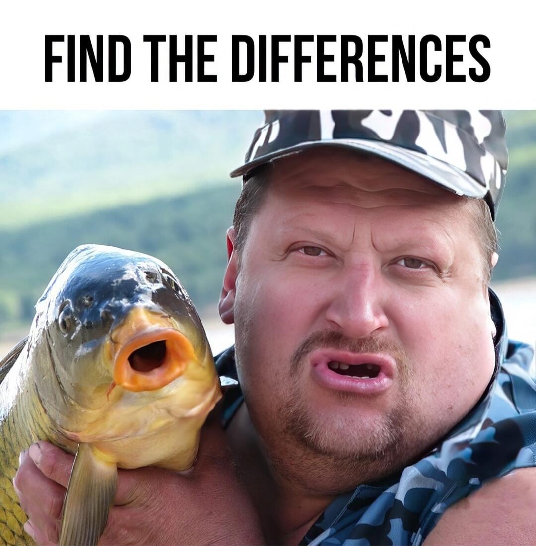 FIND THE DIFFERENCES