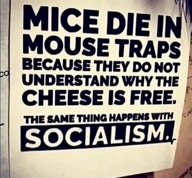 MICE DIE IN MOUSE TRAPS BECAUSE THEY DO NOT UNDERSTAND WHY THE CHEESE IS FREE. THE SAME THING HAPPENS WITH SOCIALISM.
