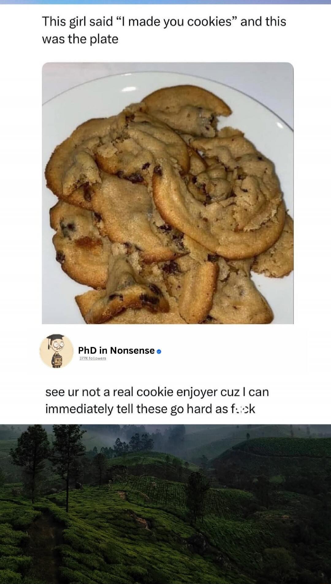 This girl said “I made you cookies” and this was the plate
[image of cookies]
PhD in Nonsense
see ur not a real cookie enjoyer cuz I can immediately tell these go hard as f**k