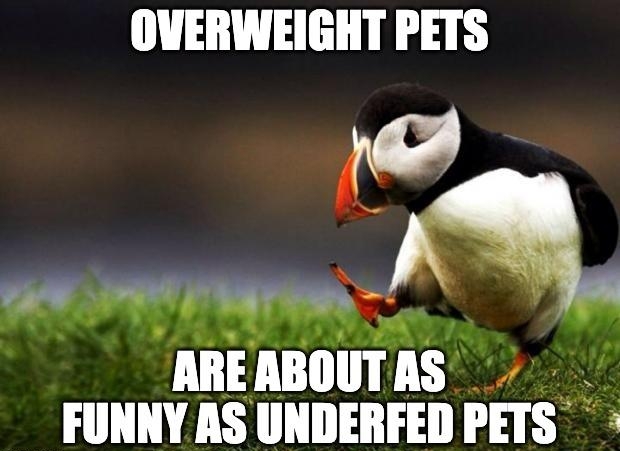 OVERWEIGHT PETS S AREABOUTAS FUNNY AS UNDERFED PETS