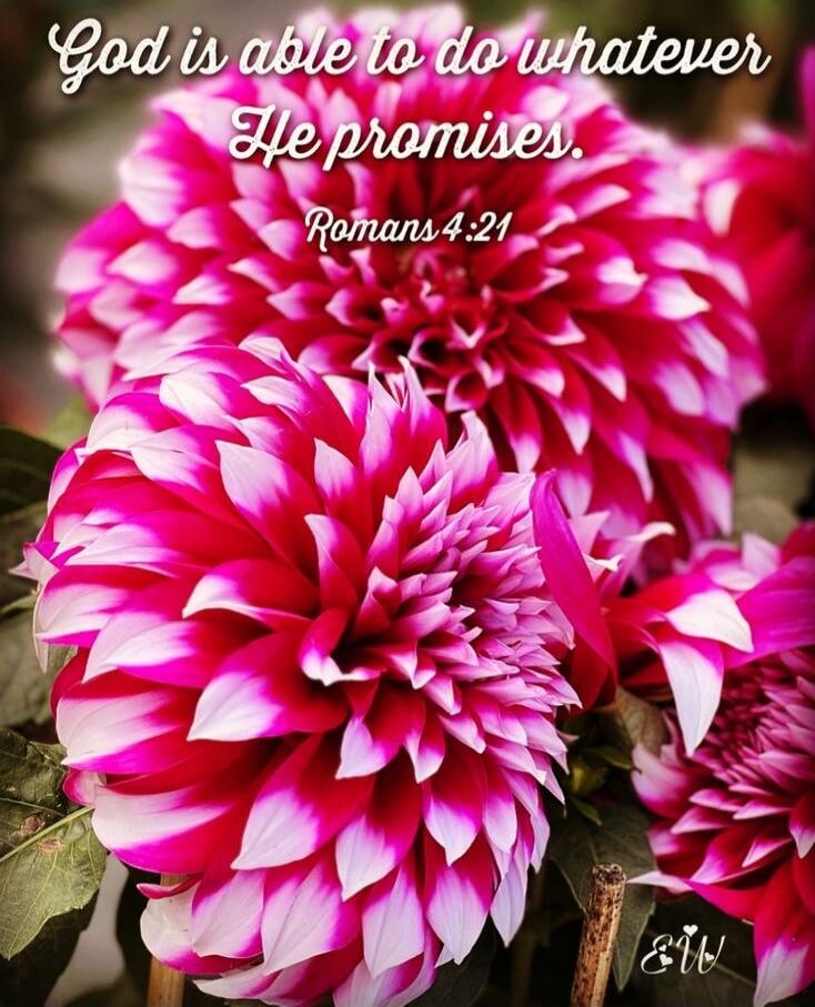 God is able to do whatever He promises. Romans 4:21