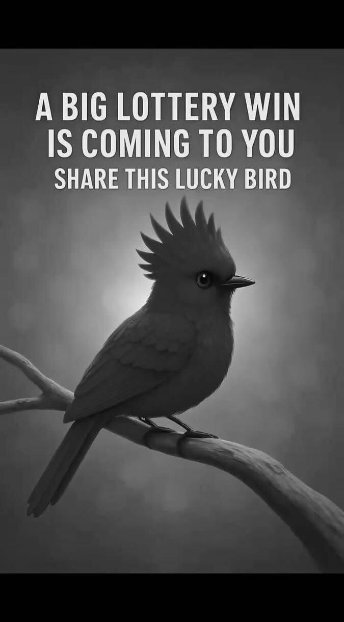 A BIG LOTTERY WIN IS COMING TO YOU
SHARE THIS LUCKY BIRD