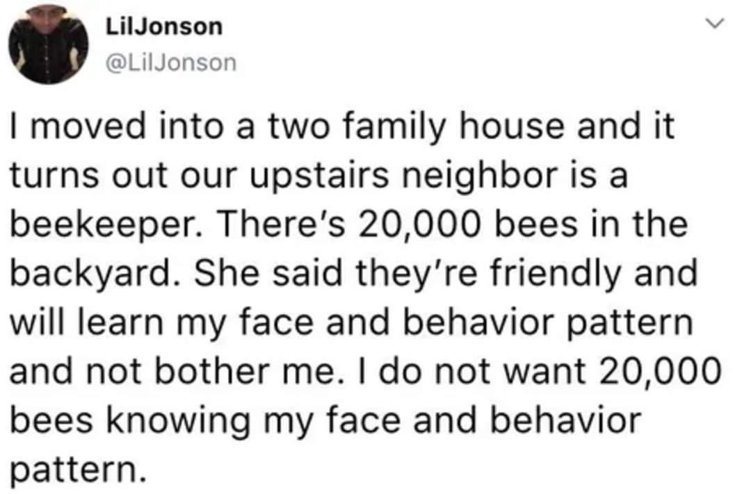 LilJonson b LilJonson moved into a two family house and it turns out our upstairs neighbor is a beekeeper Theres 20000 bees in the backyard She said theyre friendly and will learn my face and behavior pattern and not bother me do not want 20000 bees knowing my face and behavior pattern