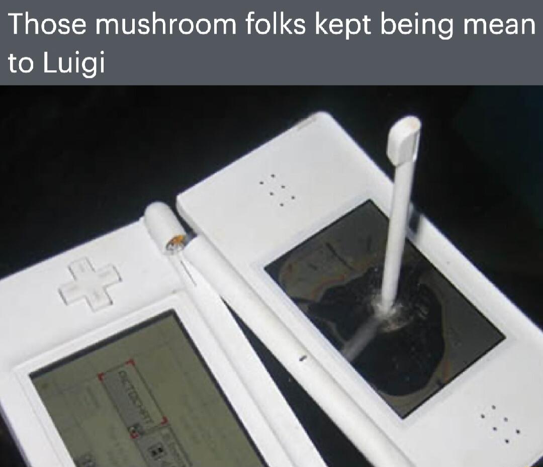 Those mushroom folks kept being mean to Luigi