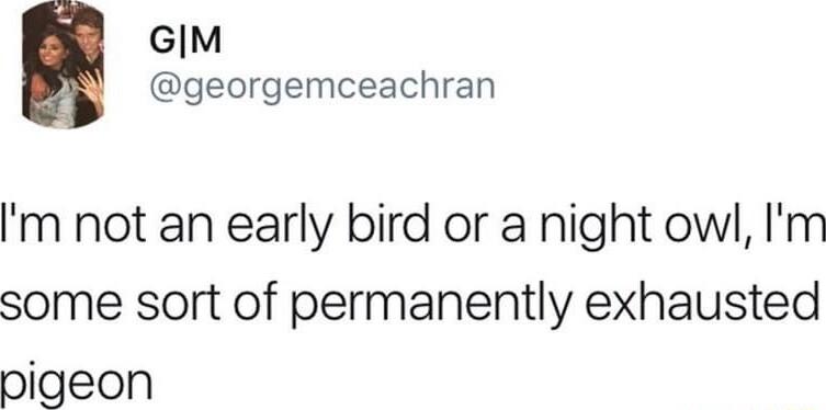 GIM S georgemceachran m not an early bird or a night owl Im some sort of permanently exhausted pigeon
