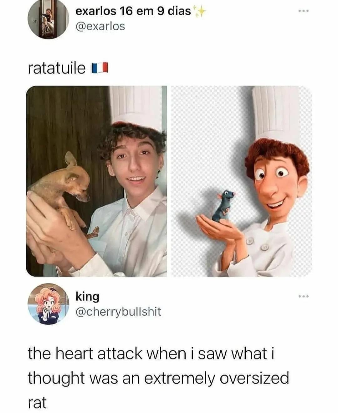 exarlos 16 em 9 dias exarlos ratatuile 18 king cherrybulishit the heart attack when i saw what i thought was an extremely oversized rat