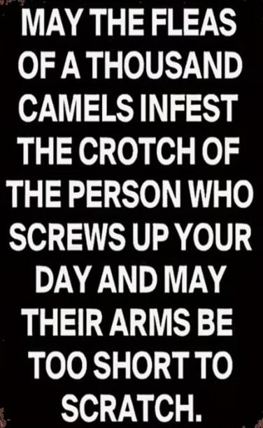 MAY THE FLEAS OF A THOUSAND CAMELS INFEST THE CROTCH OF THE PERSON WHO SCREWS UP YOUR DAY AND MAY THEIR ARMS BE TOO SHORT TO SCRATCH.